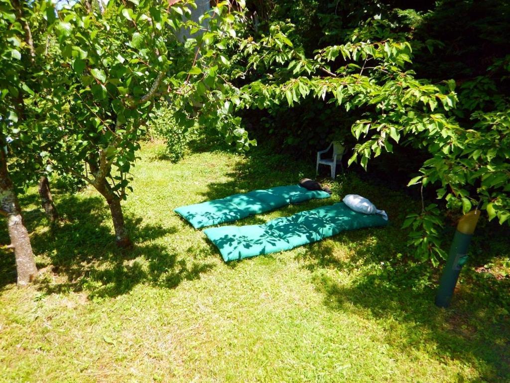 80 M2 Independant 4 Personnes Direct Gare Ou Aeroport Jardin Piscine Apartment Toulouse Exterior photo